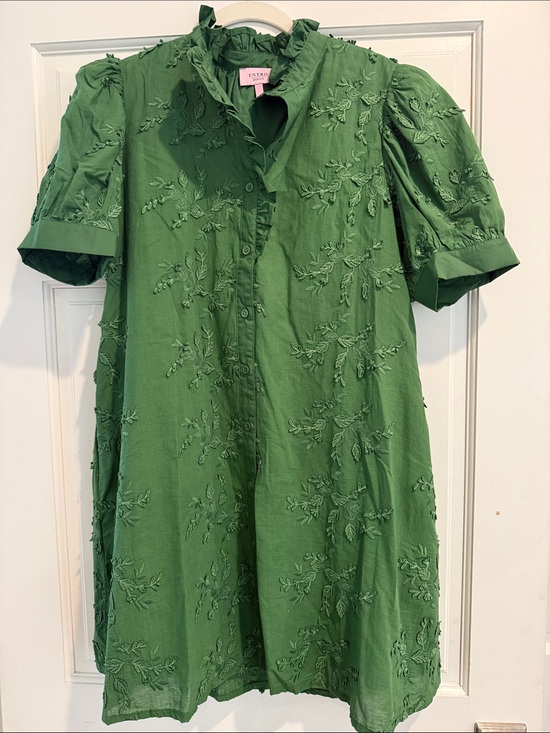 entro Dresses & Skirts - entro Green Embroidered Puff-Sleeve Mini Dress